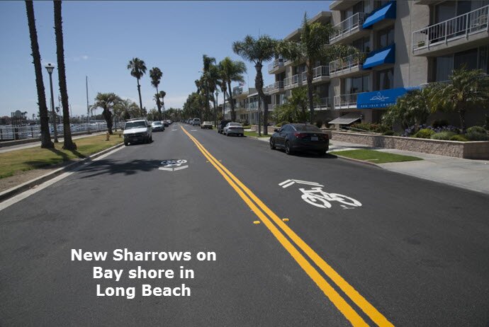 bayshore sharrows